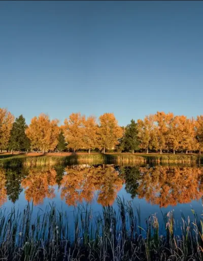 Hole 8 Pond in Fall
