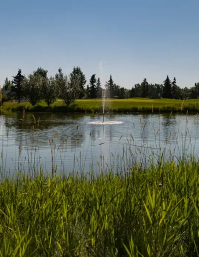 Pond 1